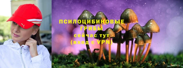 ГАЛЛЮЦИНОГЕННЫЕ ГРИБЫ Абдулино