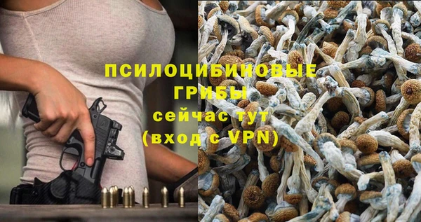 ГАЛЛЮЦИНОГЕННЫЕ ГРИБЫ Абдулино