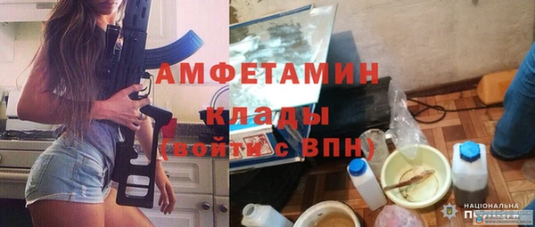 гидра Алексин