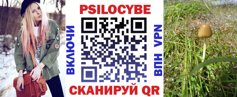 Галлюциногенные грибы прущие грибы  Красавино 
